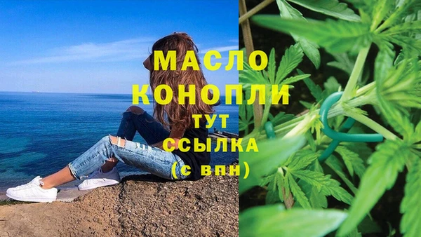 индика Арсеньев