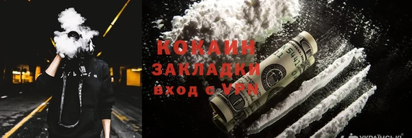 индика Арсеньев