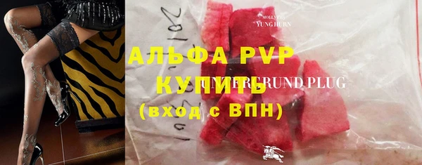 индика Арсеньев