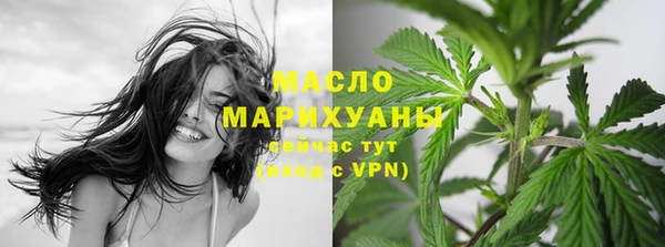 индика Арсеньев
