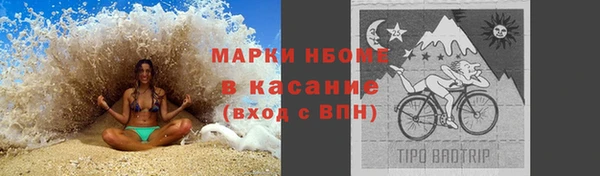индика Арсеньев