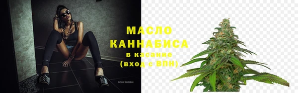 индика Арсеньев
