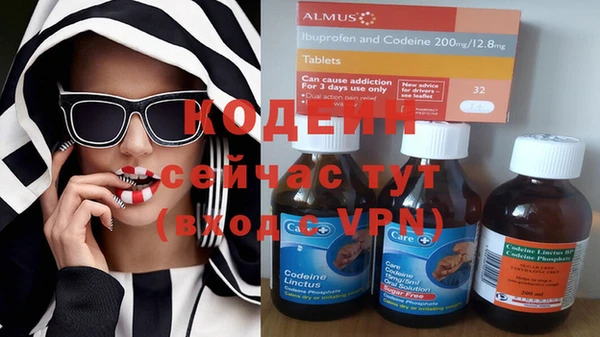 индика Арсеньев