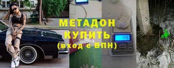 индика Арсеньев
