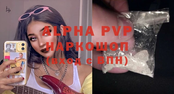индика Арсеньев