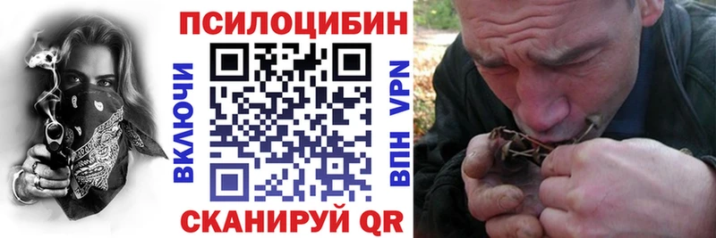 Галлюциногенные грибы мухоморы  Купить закладки  Няндома 