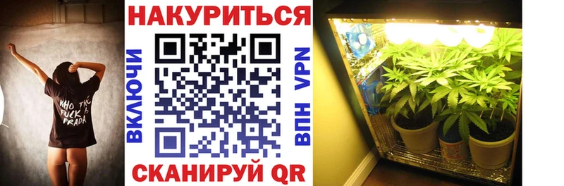 Конопля гибрид  Купить где  Няндома 
